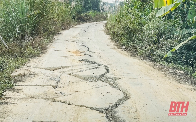 Ngang nhiên đưa máy xúc, xe tải vào khai thác đất trái phép sát cao tốc Bắc - Nam