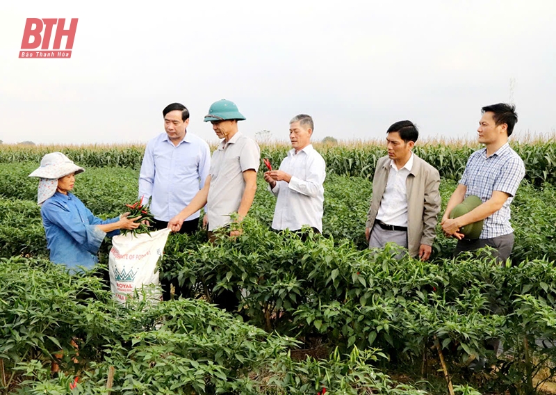 Hành trình đạt huyện nông thôn mới nâng cao: Vững từ thôn, chắc từ xã (Bài cuối) - Lấy hài lòng làm thước đo hiệu quả công việc, lấy hạnh phúc làm mục tiêu phấn đấu