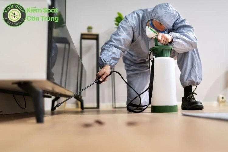 m88 the thao vụ diệt côn trùng - Giải pháp an toàn và hiệu quả trên toàn quốc