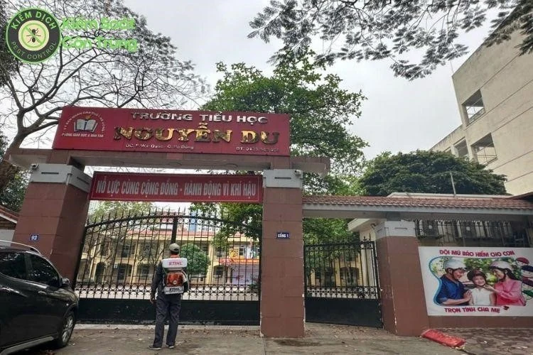 m88 the thao vụ diệt côn trùng - Giải pháp an toàn và hiệu quả trên toàn quốc