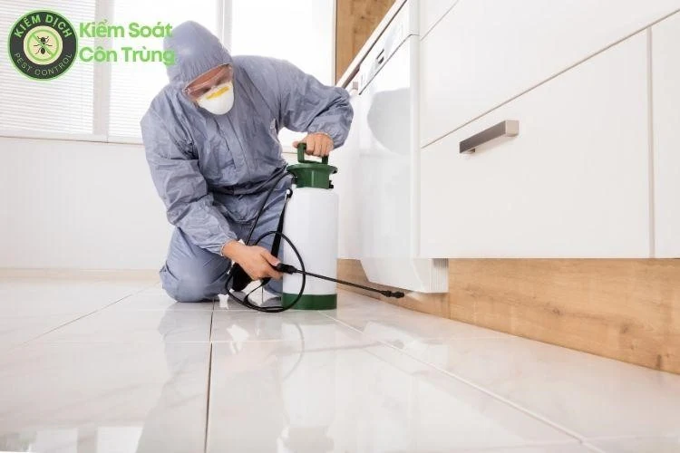m88 the thao vụ diệt côn trùng - Giải pháp an toàn và hiệu quả trên toàn quốc