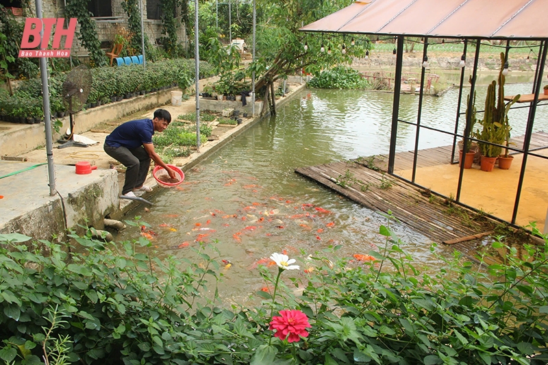 Cơ chế “trói buộc” nông nghiệp - “Xé rào” để đột phá (Bài 2): “Điểm nghẽn”