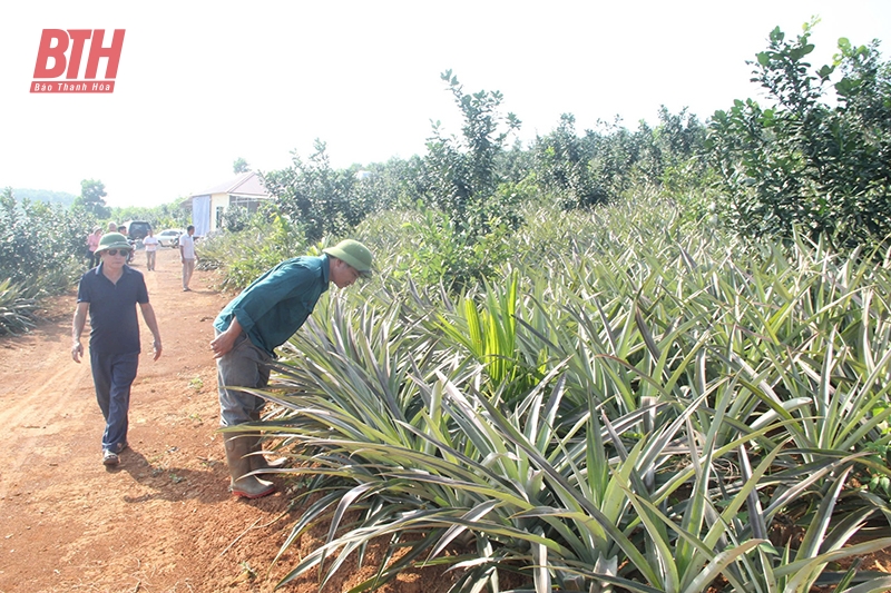 Cơ chế “trói buộc” nông nghiệp - “Xé rào” để đột phá (Bài 2): “Điểm nghẽn”