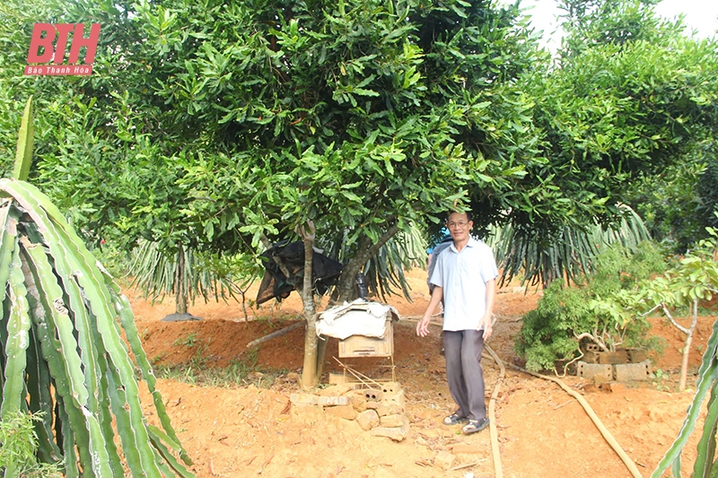 Cơ chế “trói buộc” nông nghiệp - “Xé rào” để đột phá (Bài 2): “Điểm nghẽn”