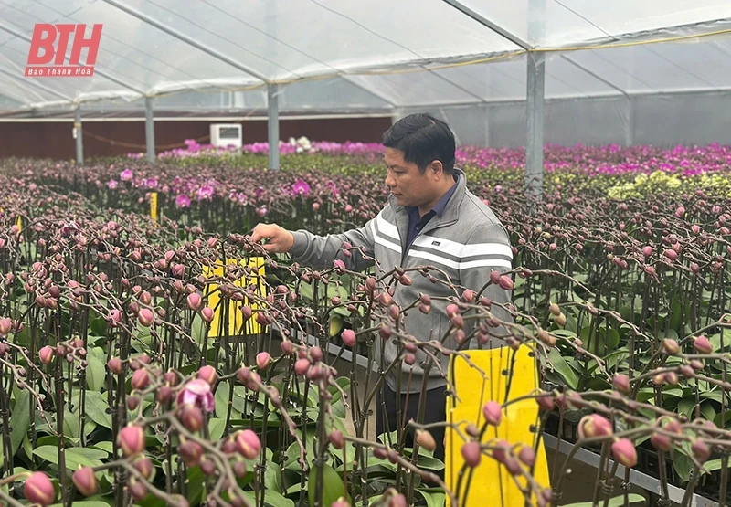 Phát huy vai trò nêu gương của cán bộ, đảng viên ở huyện Thường Xuân