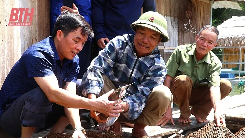Quan đăng ký m88 chú trọng công tác điều động, luân chuyển cán bộ