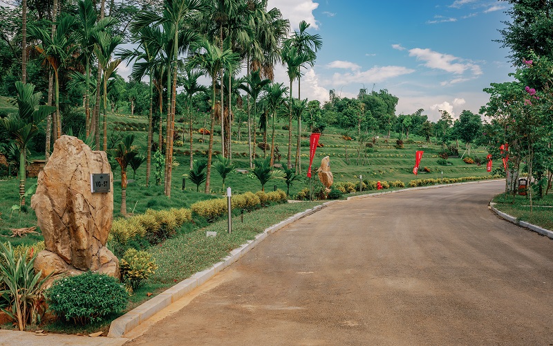 Độc đáo những cung đường mang tên các loài “hoa” ở LAMORI