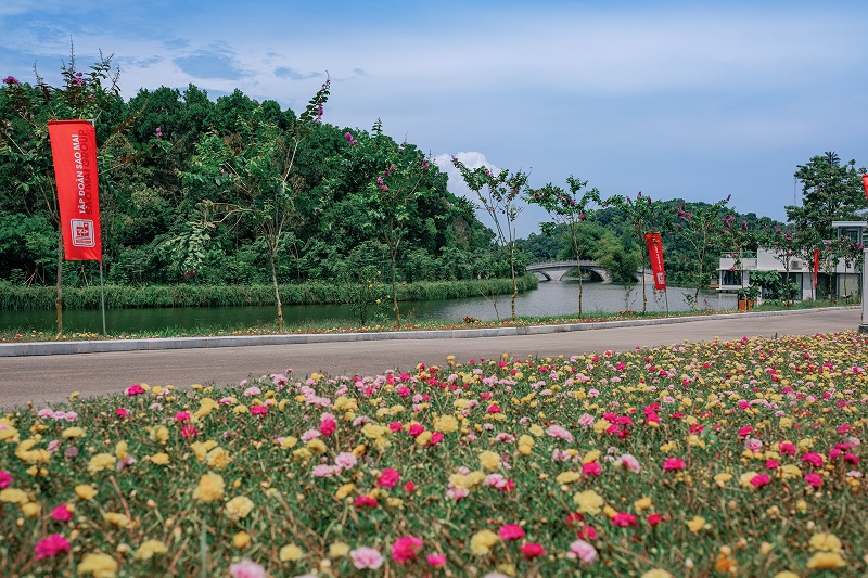 Độc đáo những cung đường mang tên các loài “hoa” ở LAMORI