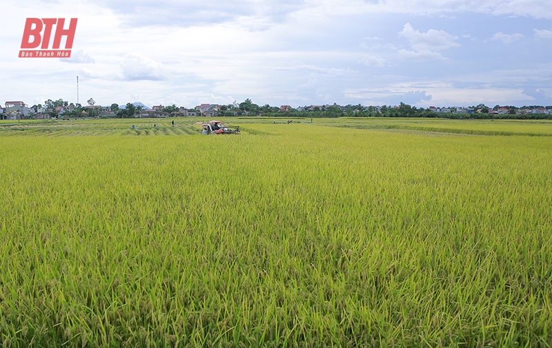 Nông nghiệp tăng trưởng ấn tượng