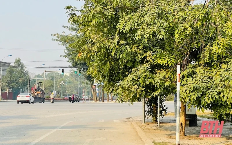 Một số đèn tín hiệu giao cá cược bóng đá m88 trên địa bàn TP Thanh Hóa bị che khuất tầm nhìn