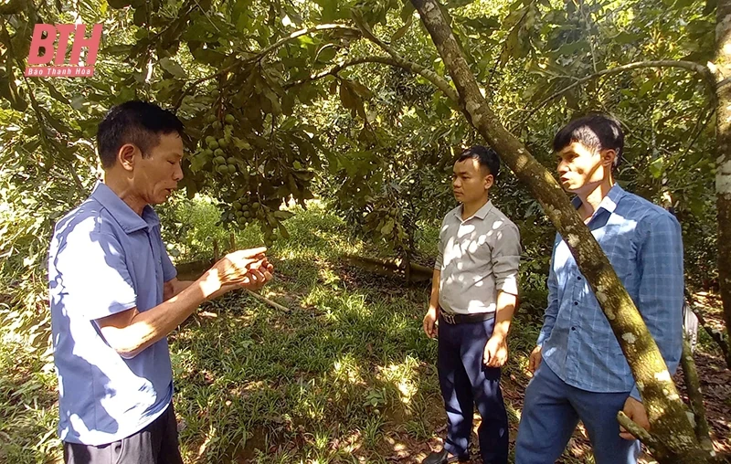 Kinh tế nông, lâm nghiệp mở hướng phát triển bền vững