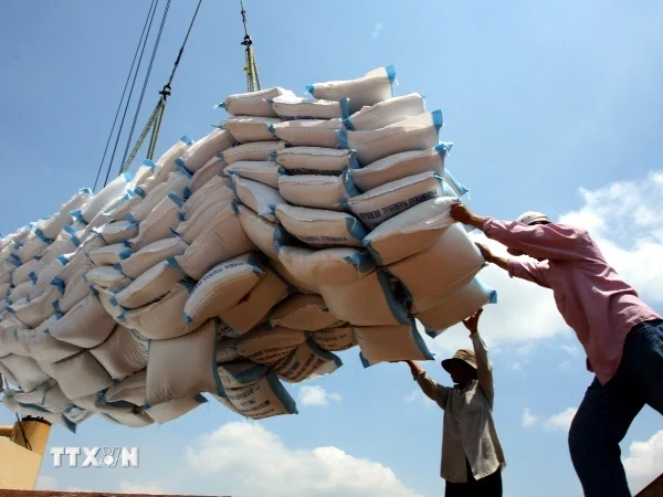 dang nhap m88 của Việt Nam sang Indonesia đạt mức cao nhất từ trước đến nay