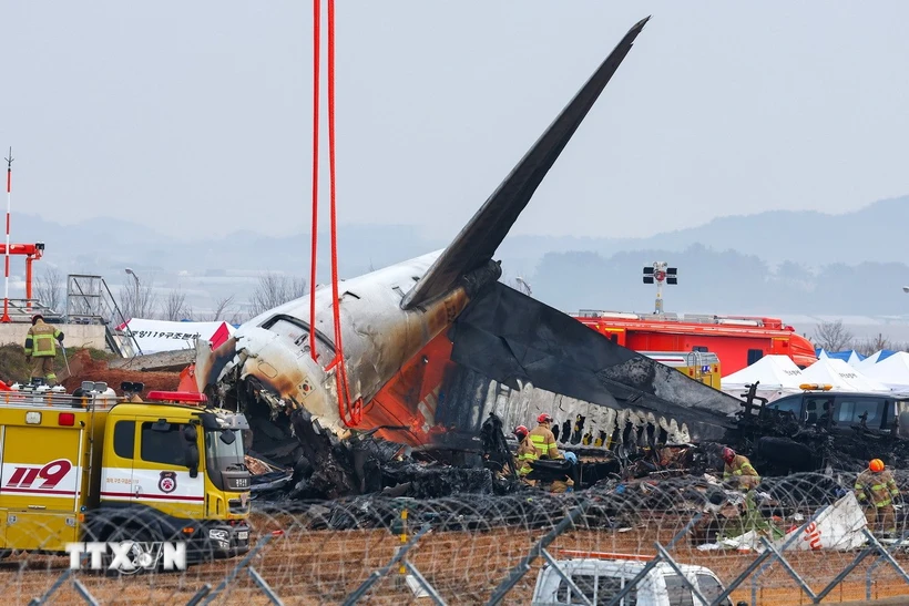 Tai nạn máy bay Jeju Air: Tìm thấy thi thể 179 nạn nhân, bắt đầu phân tích dữ liệu