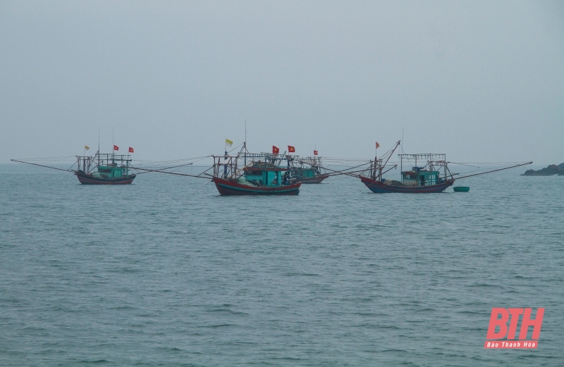 Chủ động ứng phó với rét và gió mạnh trên biển