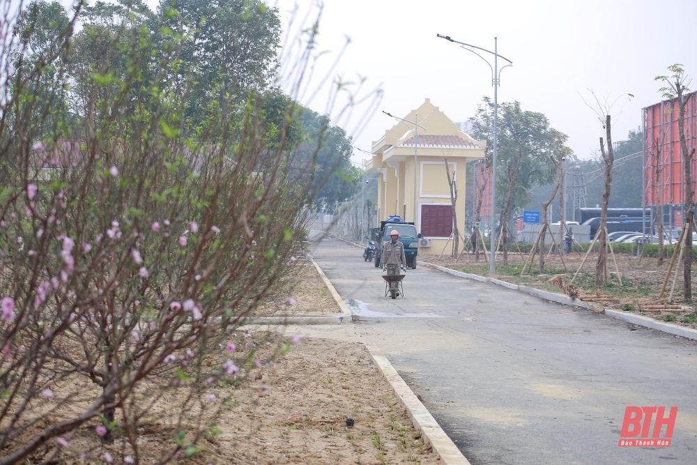 Nhộn nhịp trên công trường thi công các dự án trọng điểm