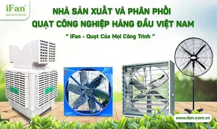 iFan Group: Đơn vị cung cấp quạt công nghiệp số 1 Việt Nam
