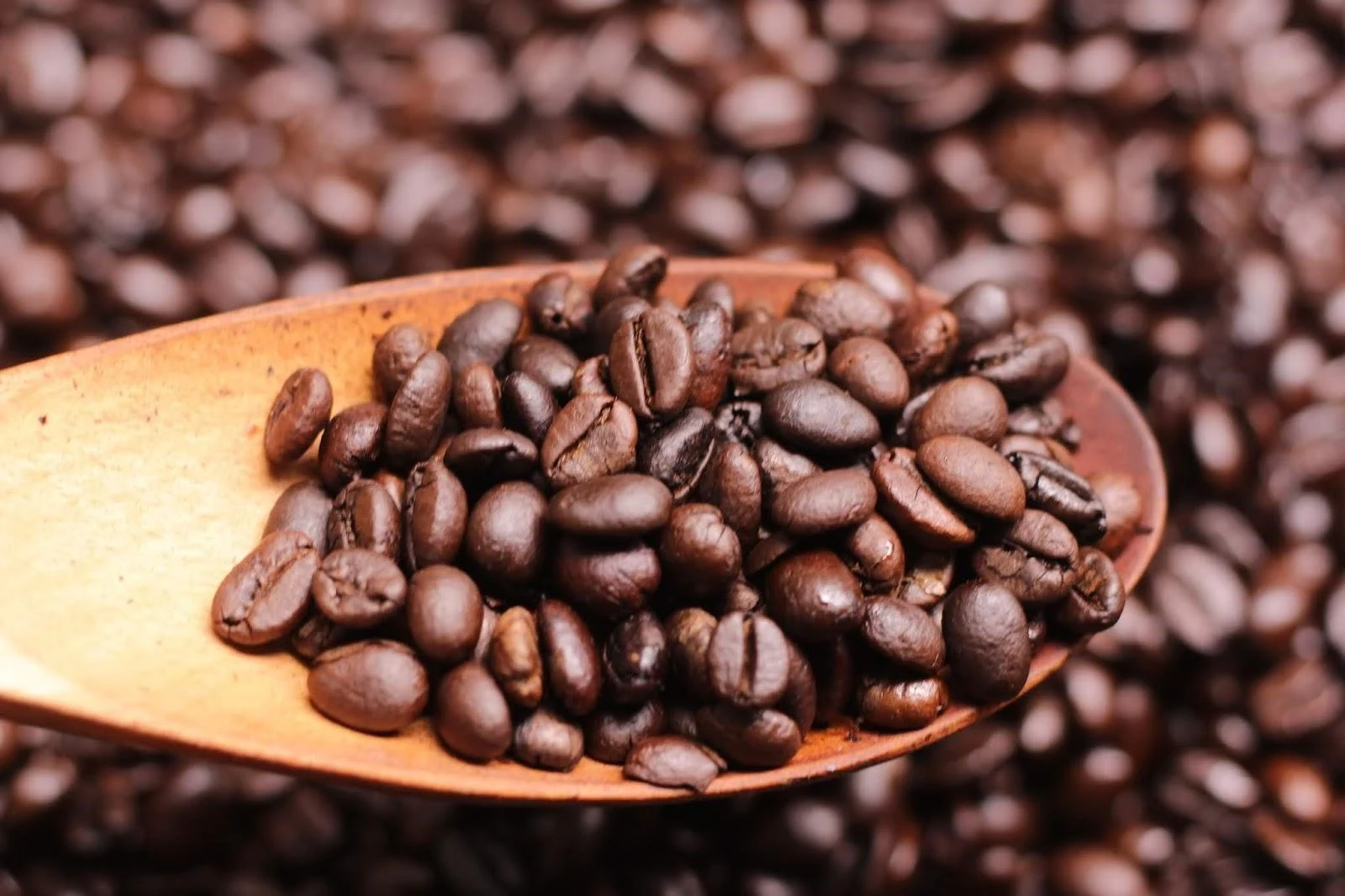 Cà phê Robusta rang mộc - Hương vị thuần túy, chất lượng tuyệt hảo