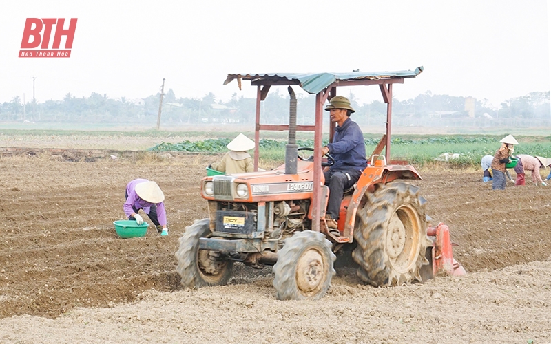 Nâng cao diện tích nông nghiệp được cơ giới hóa đồng bộ