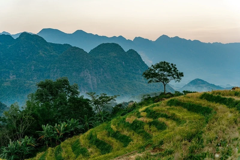 Gió thổi lâng lâng – Thanh xuân lại đến
