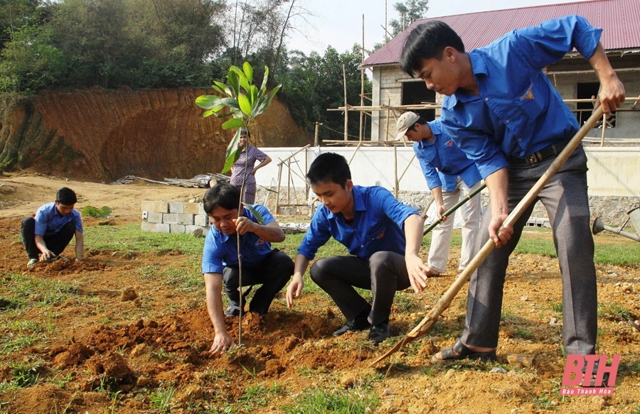 Trồng trên 3 triệu cây xanh dịp Tết trồng cây đời đời nhớ ơn Bác Hồ Xuân Ất Tỵ 2025