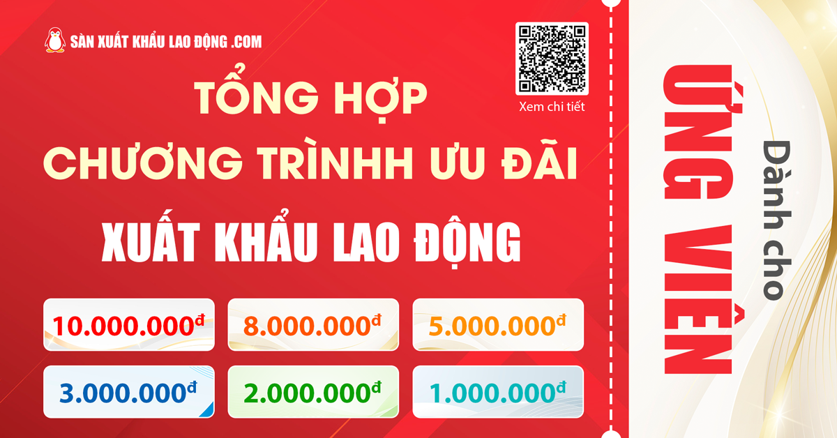 Sàn xuất khẩu lao động.com đặt mục tiêu đạt 50.000 người dùng truy cập mỗi tháng