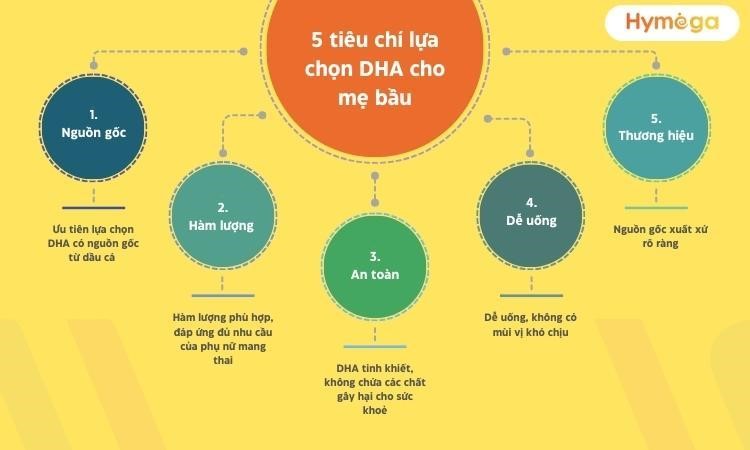 Cẩm nang chọn DHA cho bà bầu và giải pháp hoàn hảo từ DHA EU Hymega