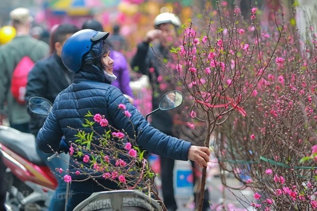 Thời tiết dịp Tết ông Công ông Táo, Tết Nguyên đán 2025