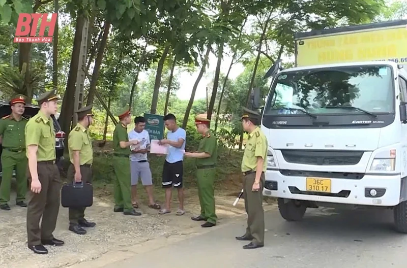 Chủ động bảo vệ rừng, đấu tranh chống vận chuyển, buôn bán lâm sản trái phép dịp tết