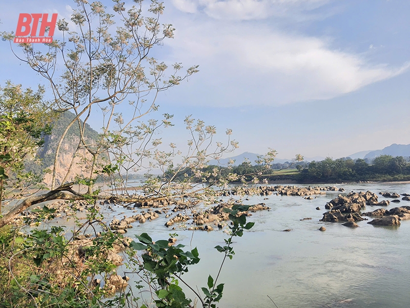 Nhen lửa đêm đào nở...