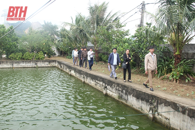 Những vùng quê ai cũng muốn trở về: Biến mô hình sản xuất thành những tiểu sinh thái bền vững