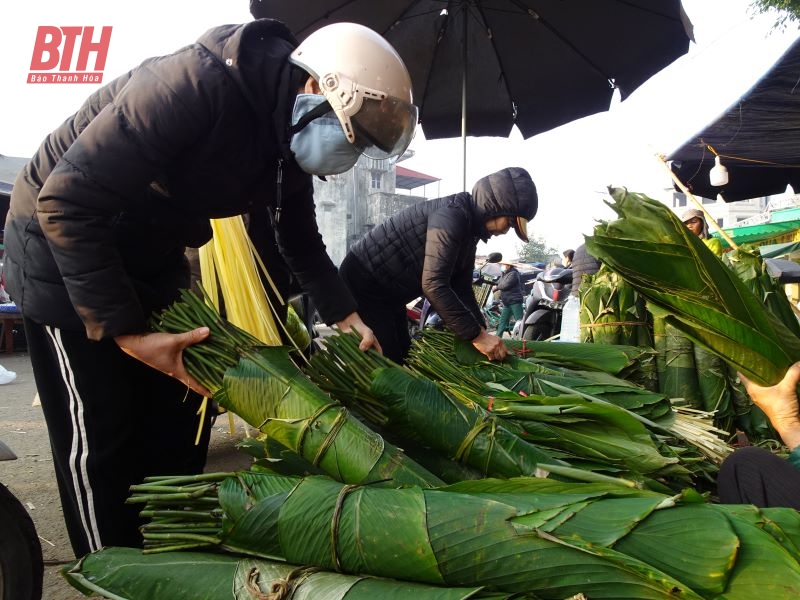 Lá dong rừng xuống phố