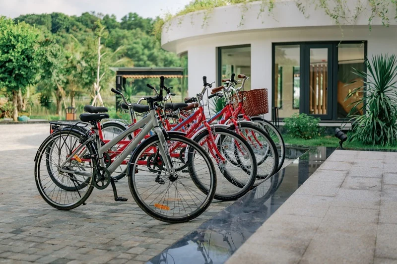 Bản tình ca thiên nhiên giữa lòng m88 trang chủ