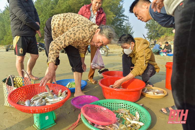 Ngư dân vươn khơi đầu năm đón “lộc biển”