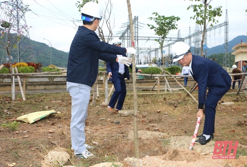 Nhà máy Thủy điện Trung Sơn hưởng ứng “Tết trồng cây đời đời nhớ ơn Bác Hồ”