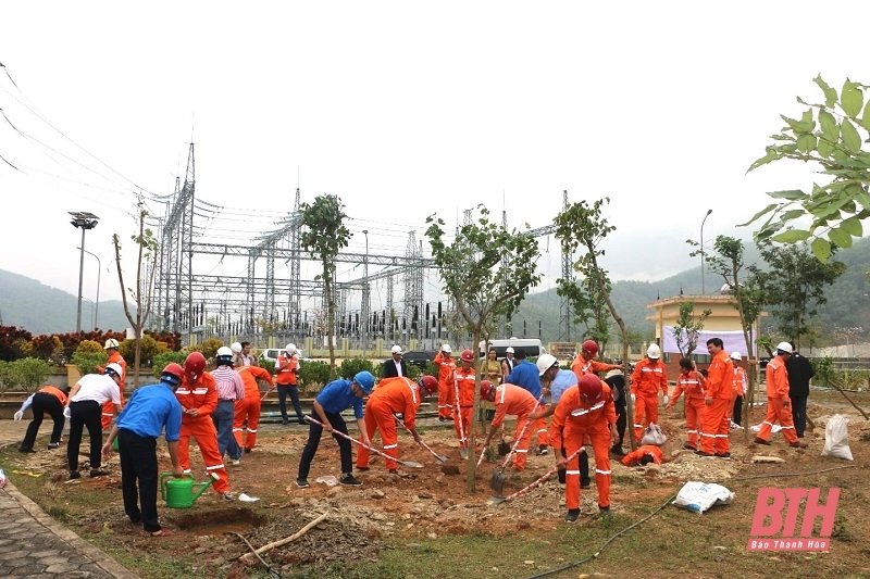 Nhà máy Thủy điện Trung Sơn hưởng ứng “Tết trồng cây đời đời nhớ ơn Bác Hồ”