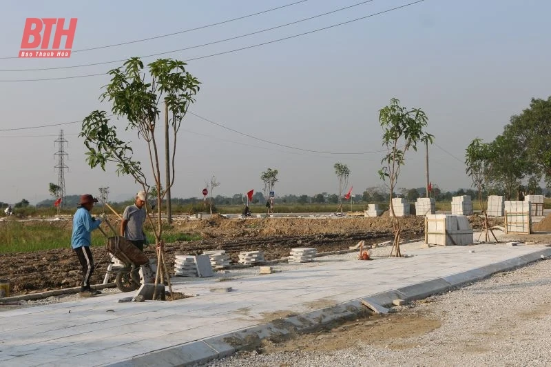 Tăng cường công quản lý Nhà nước về link vào m88 mới nhất