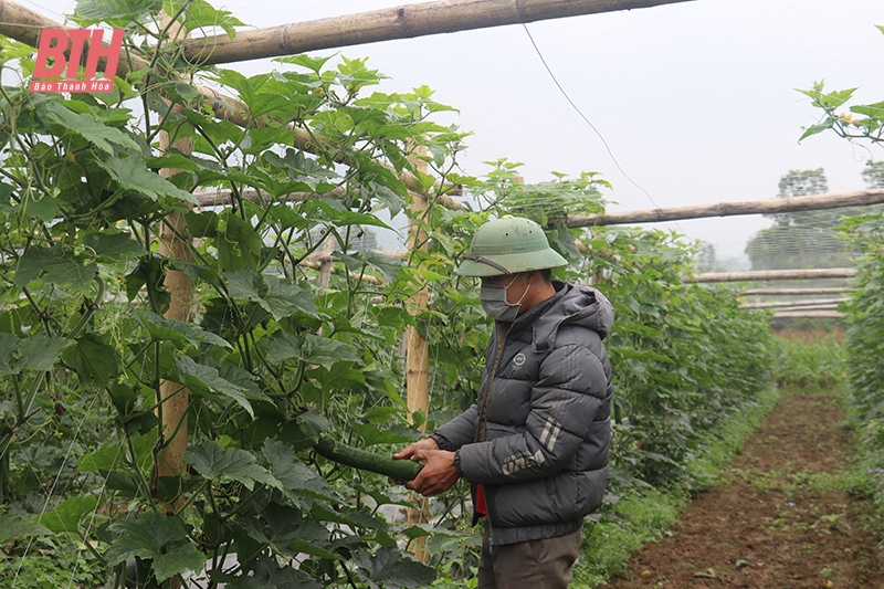 Nâng cao chất lượng, giá trị nông sản