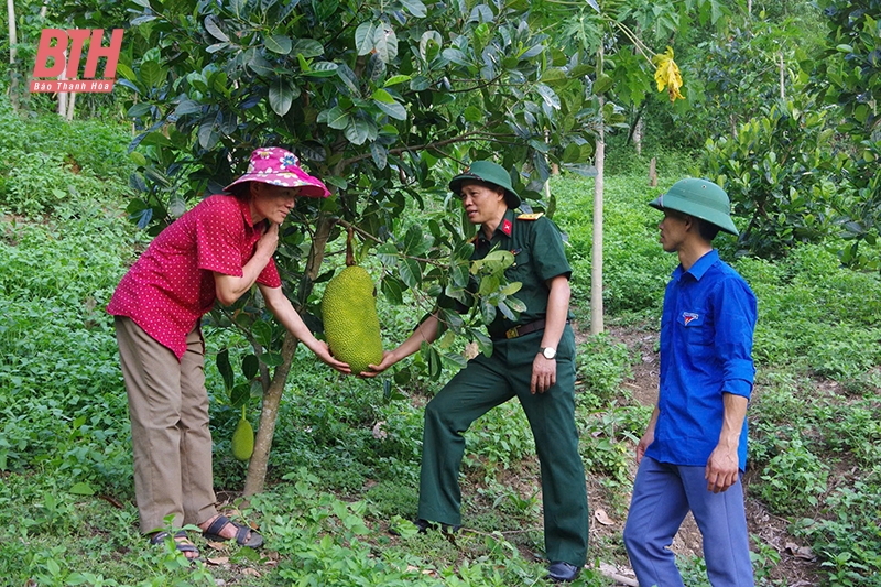 Lực lượng vũ trang tỉnh xây dựng mô hình sinh kế giúp người dân thoát nghèo