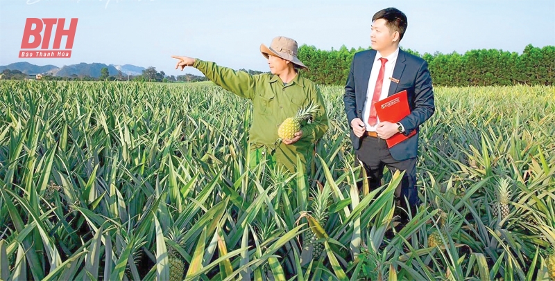 Huy động vốn, tăng trưởng dư nợ an toàn, hiệu quả