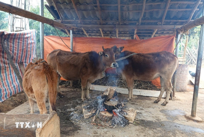 “Không để dân đói, rét, đau ốm vì rét mà không tiếp cận được dịch vụ y tế”