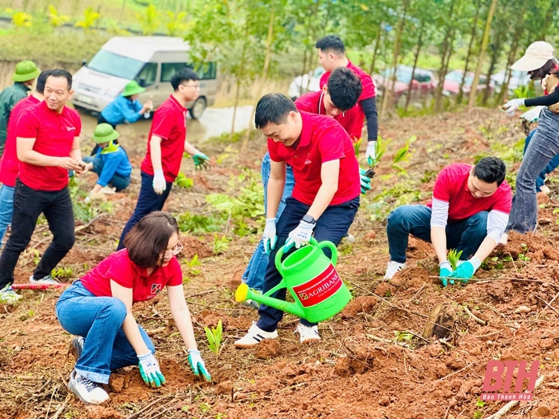 Agribank Nam Thanh Hóa tặng 10.000 cây giống cho người dân xã Mậu Lâm