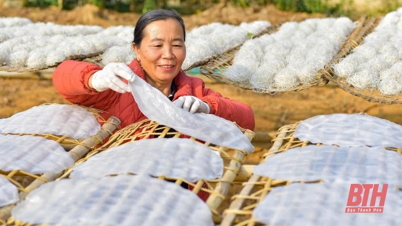 Khám phá quy trình sản xuất miến dong tráng tay truyền thống