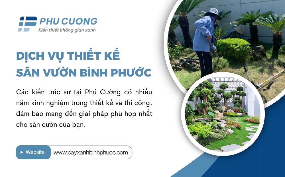 Mang thiên nhiên vào không gian sống với dịch vụ thuê cây xanh Bình Dương