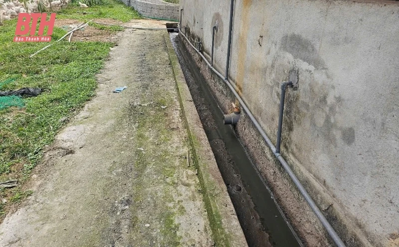 Xử phạt trang trại gây ô nhiễm môi đăng ký m88