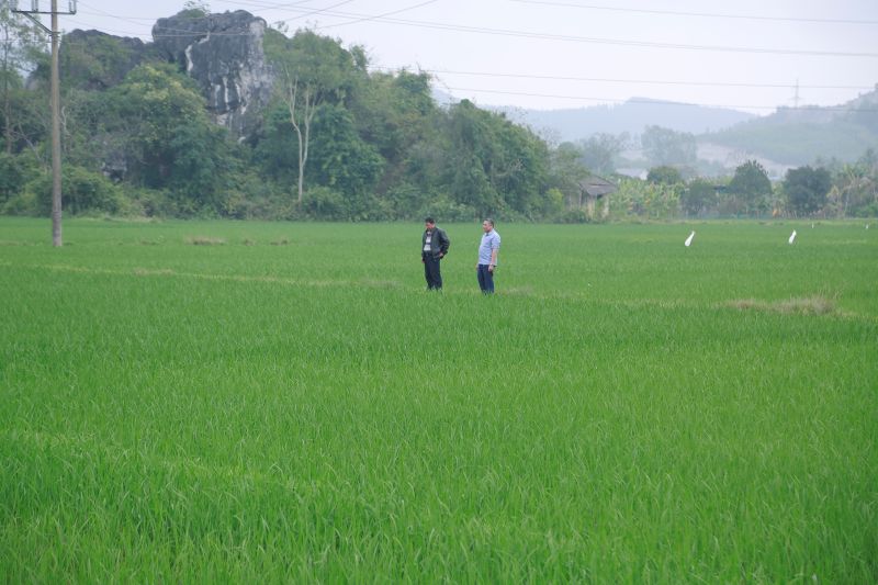 Nông thôn mới ở Trường Lâm, Tân Trường: Từ gian khó đến mùa quả ngọt