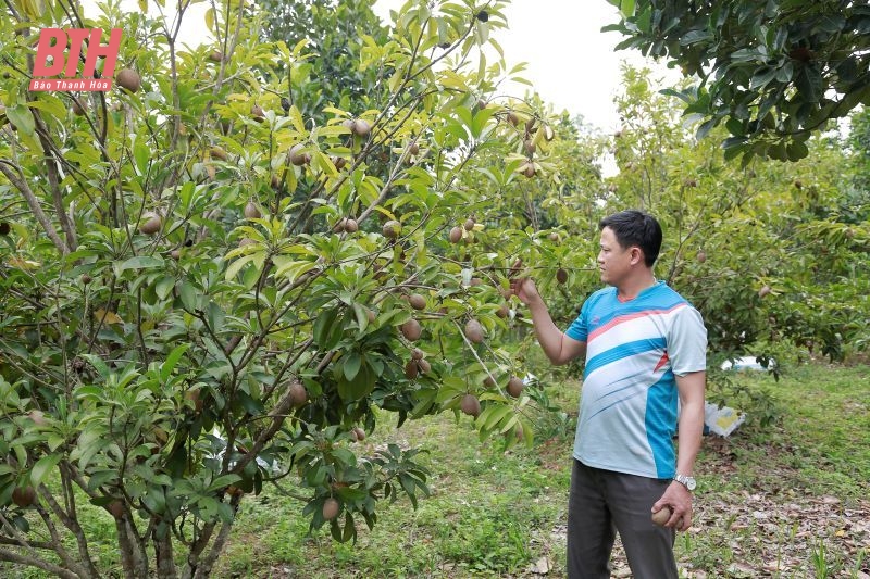 Nông thôn mới ở Trường Lâm, Tân Trường: Từ gian khó đến mùa quả ngọt