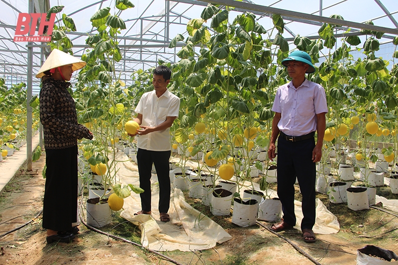 Huyện Hậu Lộc đón nhận Bằng công nhận huyện đạt chuẩn nông thôn mới: Thành quả xứng đáng từ hành trình nỗ lực, bền bỉ