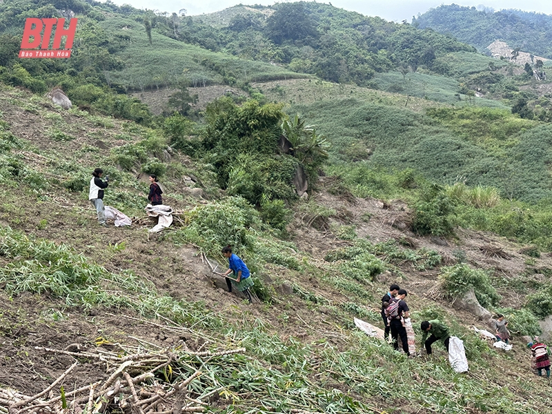 Hủy hoại tài sản - từ mâu thuẫn tranh chấp đất sản xuất