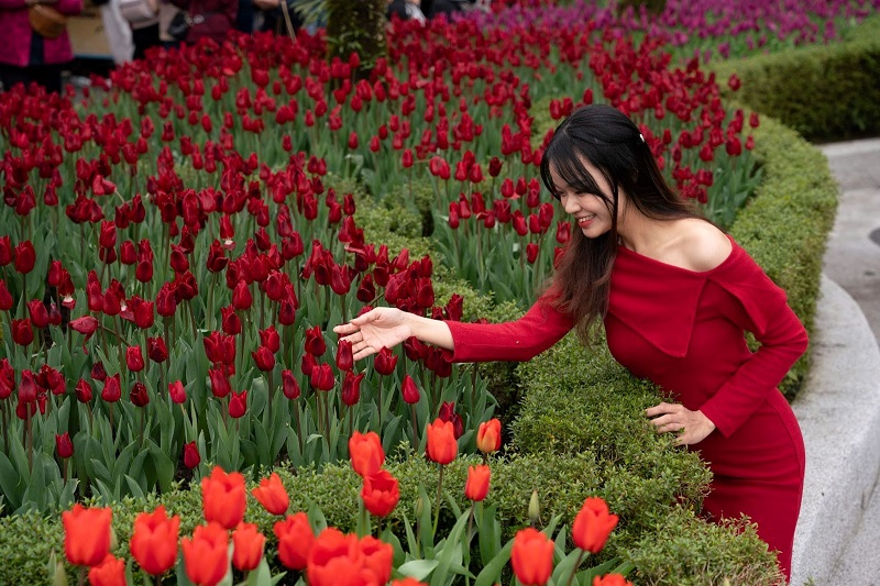 Hàng ngàn du khách miền Trung - Tây Nguyên đổ về Bà Nà Hills trong ngày đầu áp dụng giá vé 350.000 VNĐ