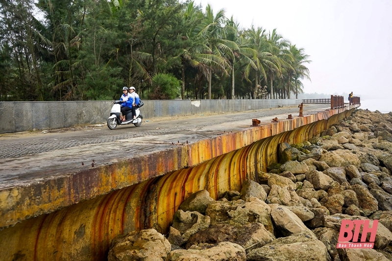 Hàng rào ven biển Sầm Sơn xuống cấp nghiêm trọng, tiềm ẩn nguy hiểm